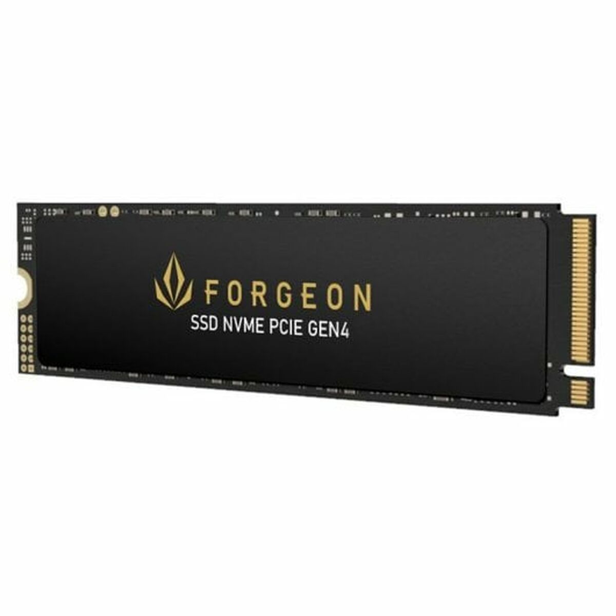 Hårddisk Forgeon 1 TB - 2