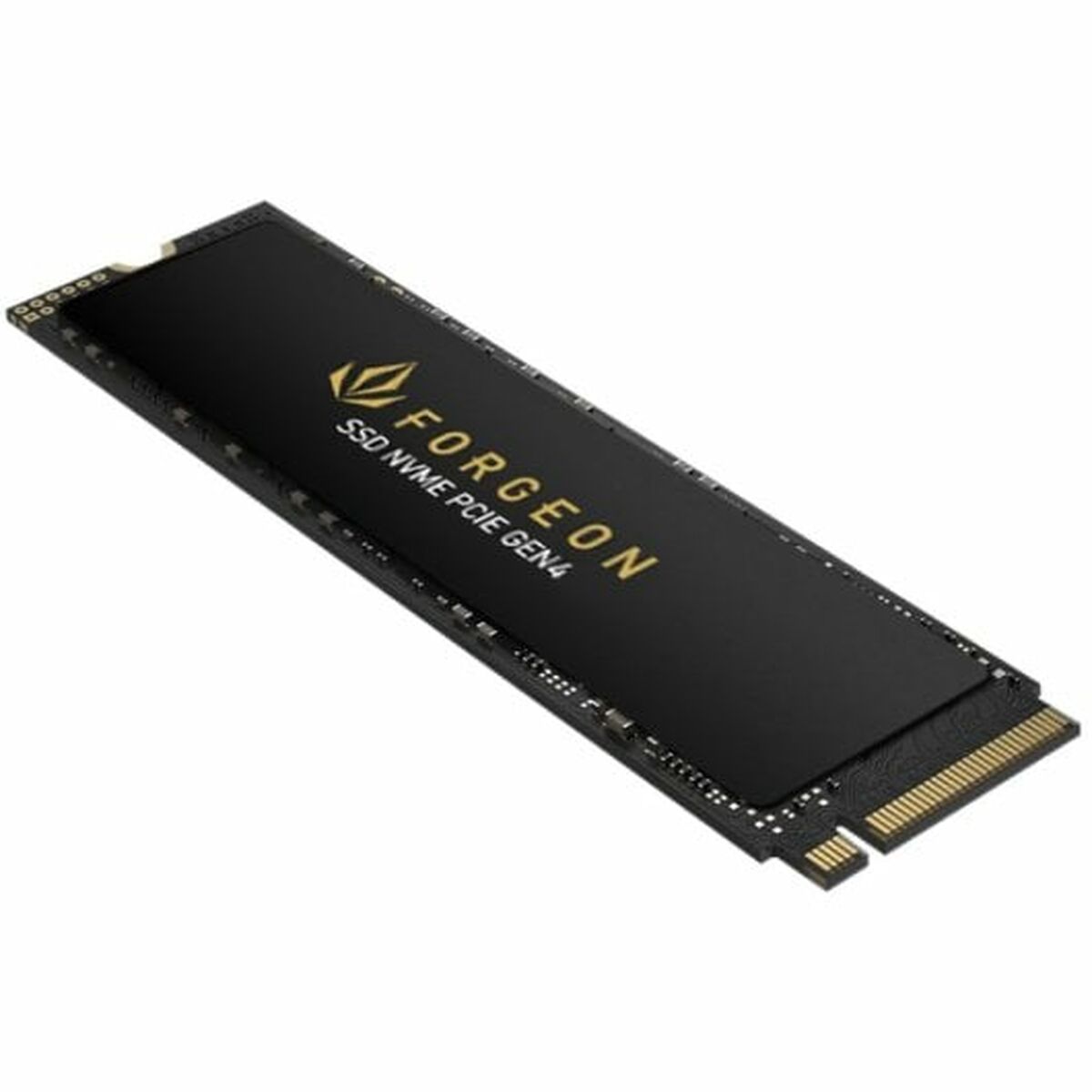 Hårddisk Forgeon 1 TB - 3