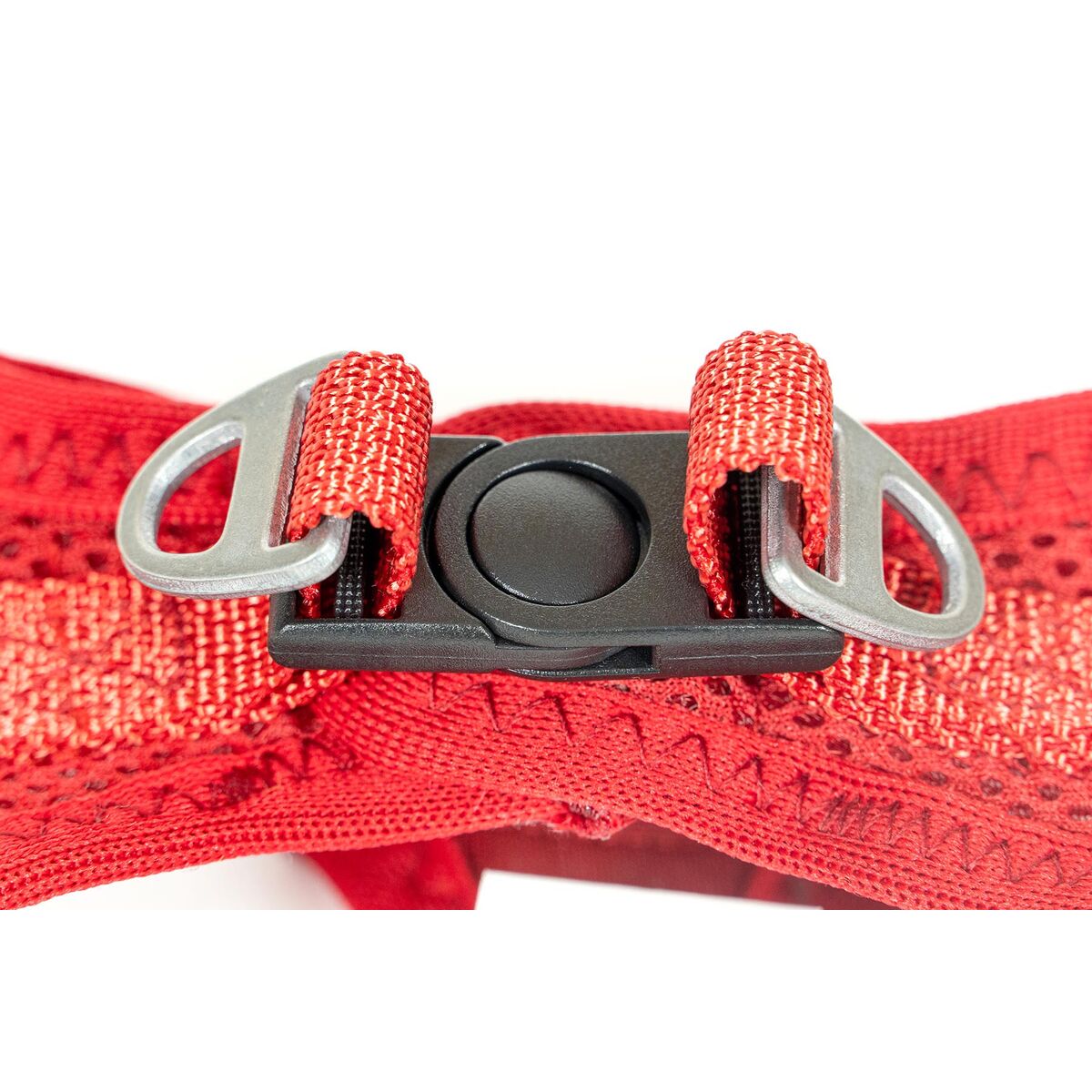 Hundsele Gloria Trek Star 24-26 cm 28-28,6 cm Röd XXS - 2