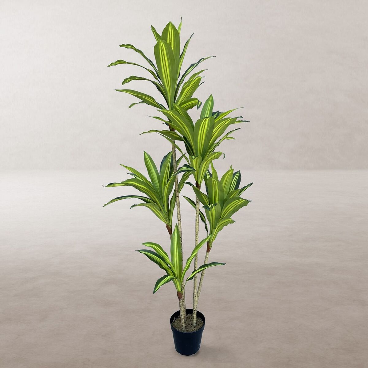 Dekorativ växt Polyuretan Cement 150 cm - 2