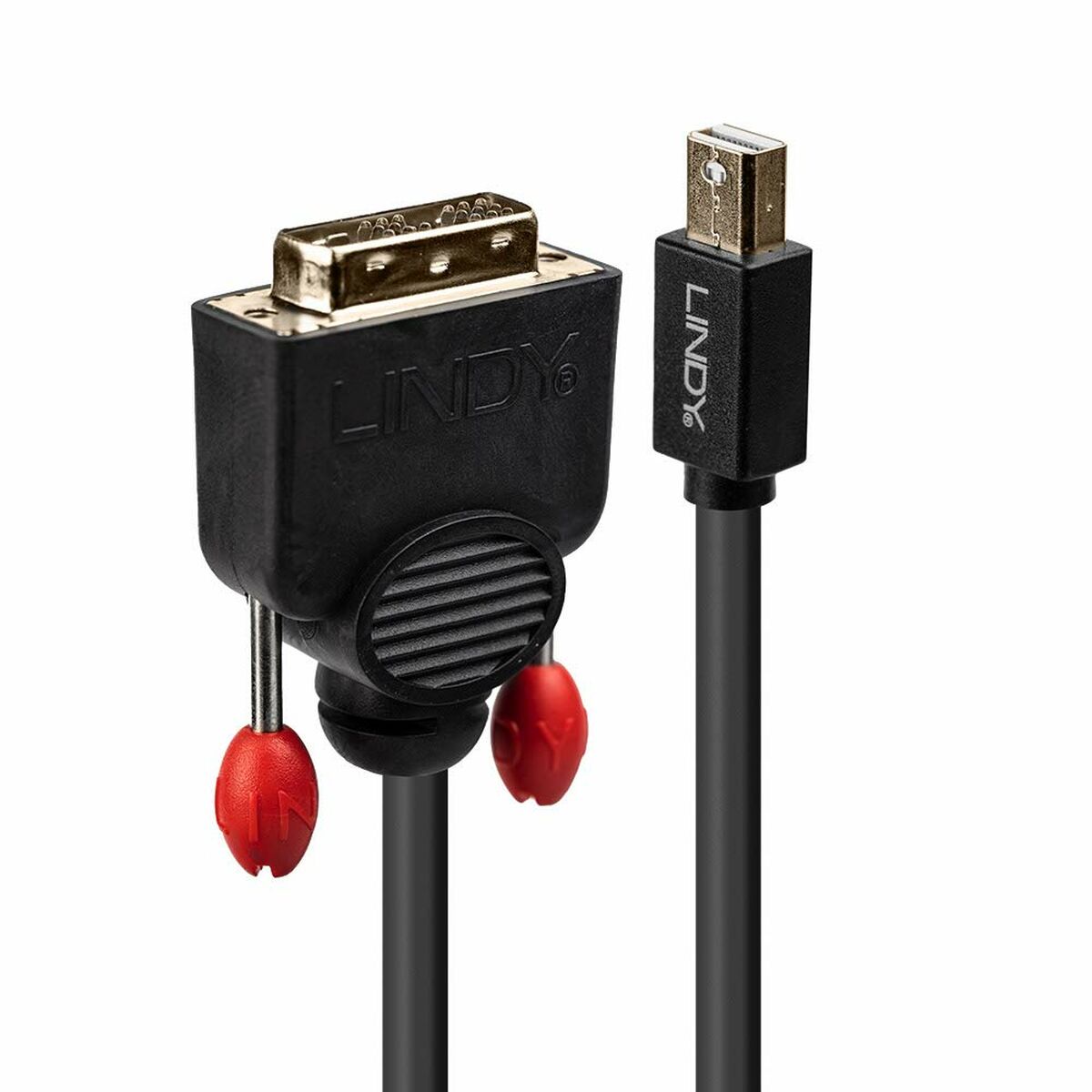 Mini-DisplayPort till DVI-adapter LINDY 2 m Svart - 2