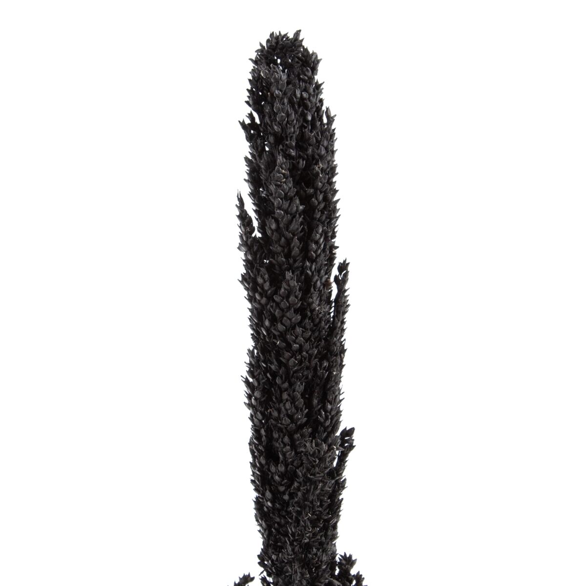 Gren Bambu 7 x 7 x 190 cm - 3