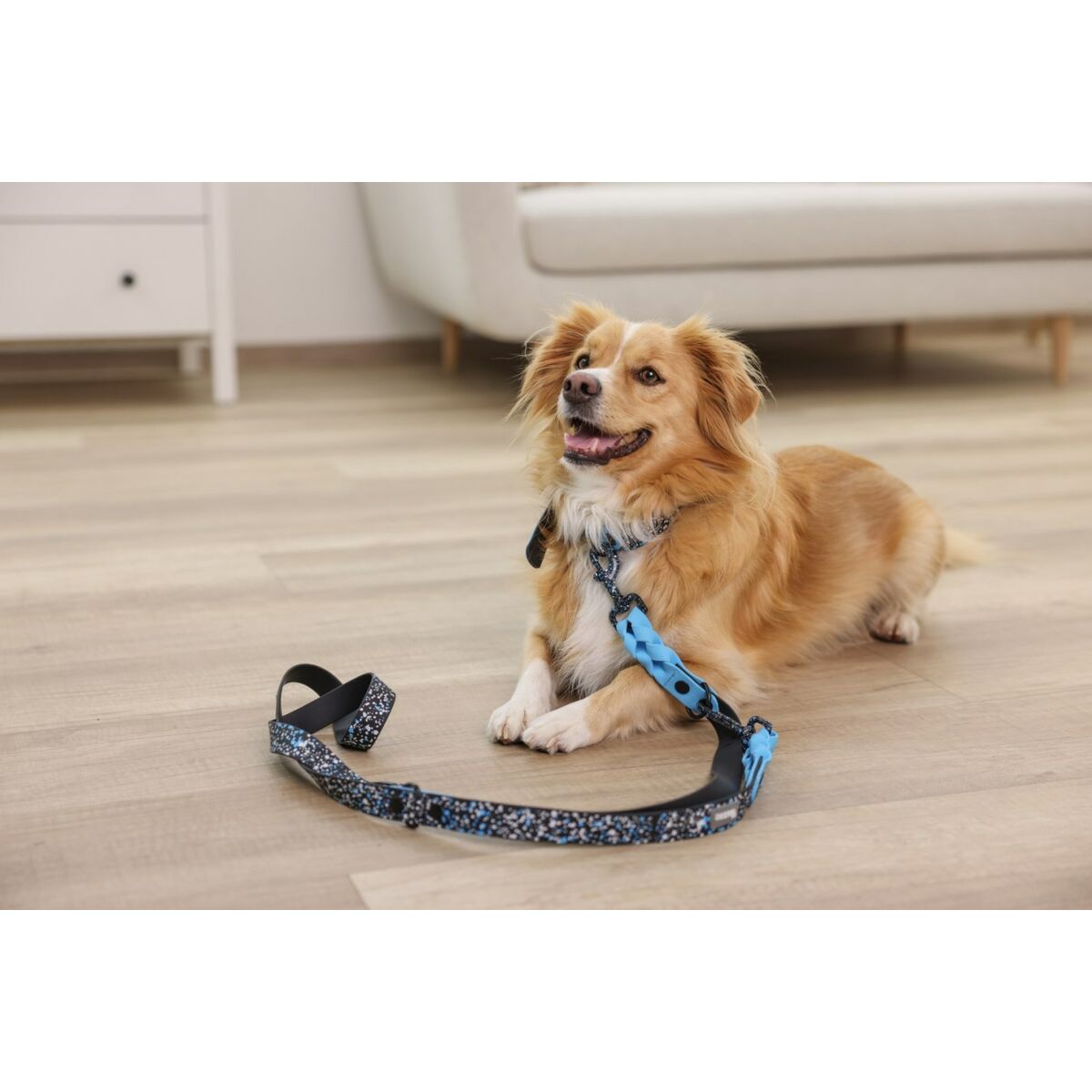 Hundhalsband Kerbl 80095 Blå Svart Tryck 45 cm 36 cm - 3