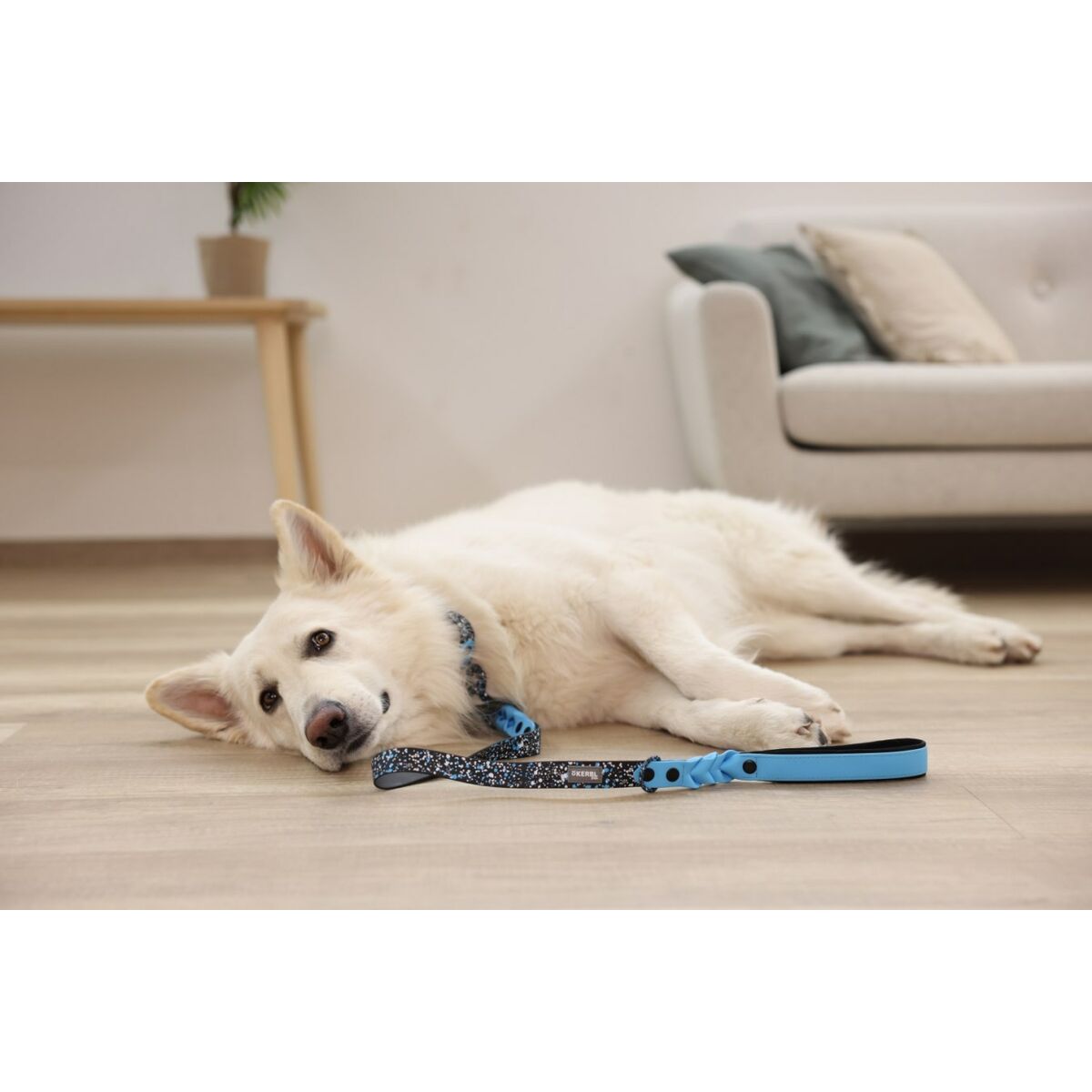 Hundhalsband Kerbl 80096 Blå Svart Tryck 46 cm 55 cm 45 cm - 3
