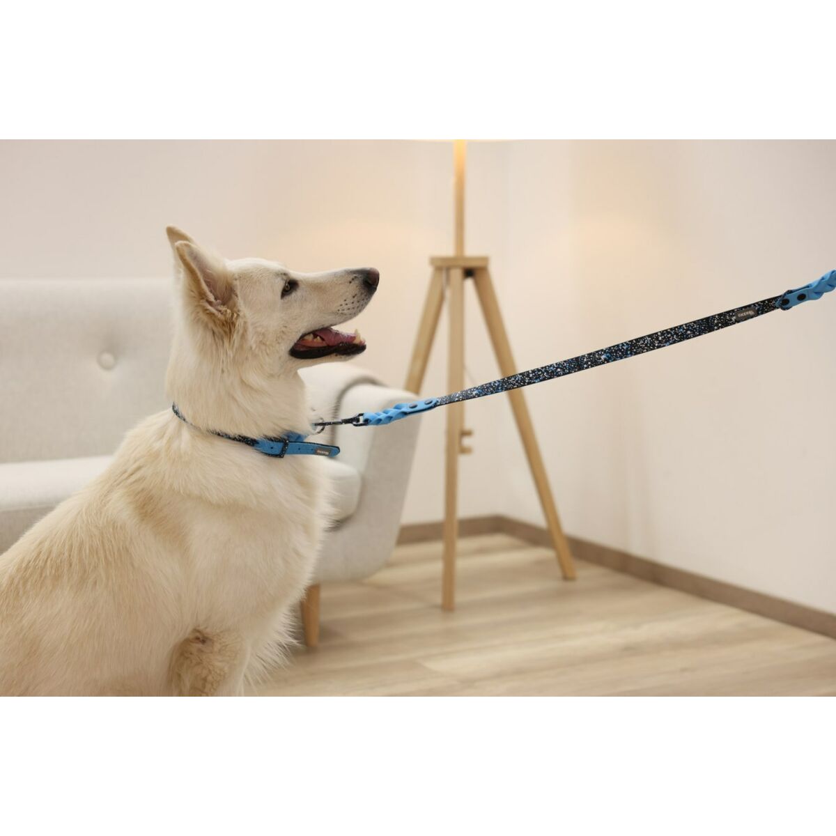 Hundhalsband Kerbl 80096 Blå Svart Tryck 46 cm 55 cm 45 cm - 2