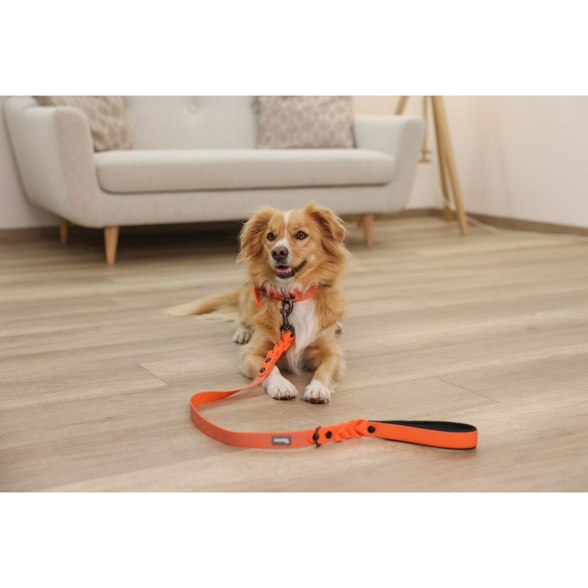 Hundhalsband Kerbl 80100 Svart Orange Tryck 45 cm 36 cm - 2