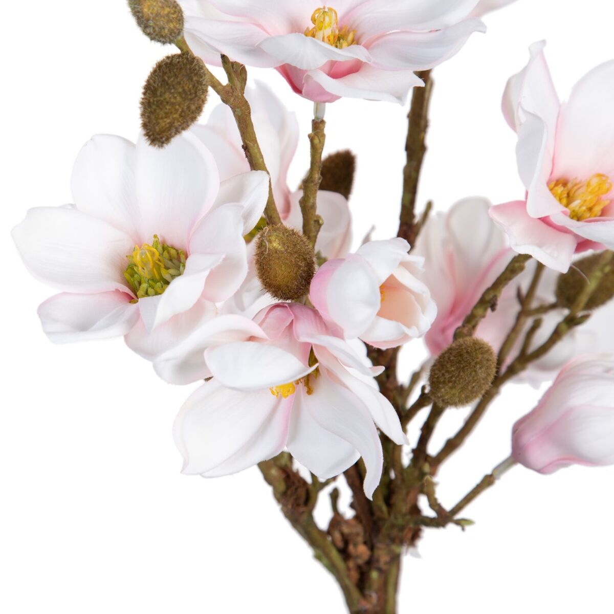 Dekorativ växt Polyester Polyetylen Järn 30 x 30 x 60 cm Magnolia - 2