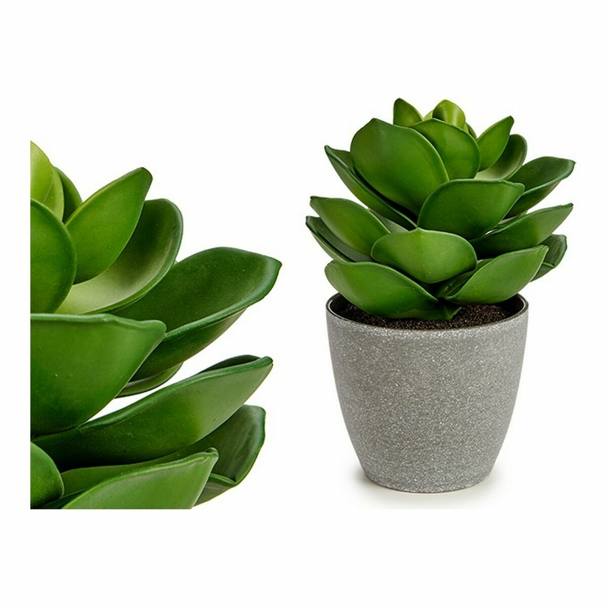 Dekorativ växt Ibergarden Plast 16 x 21 x 16 cm Grå Grön (6 antal) - 4