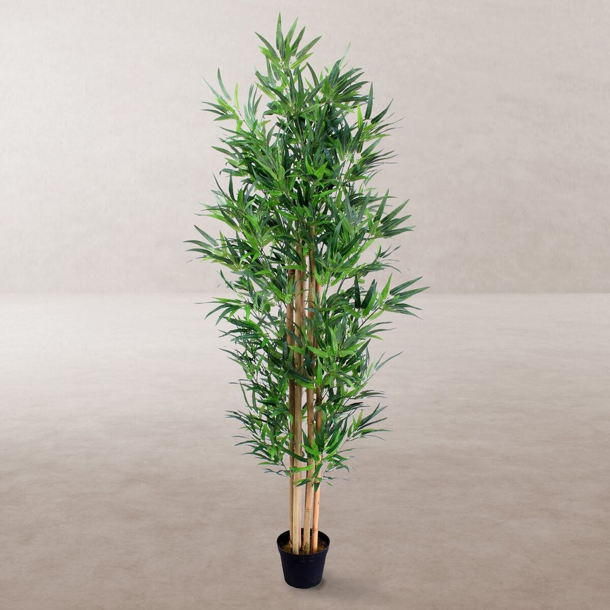 Dekorativ växt Cement Tyg Bambu 210 cm - 2
