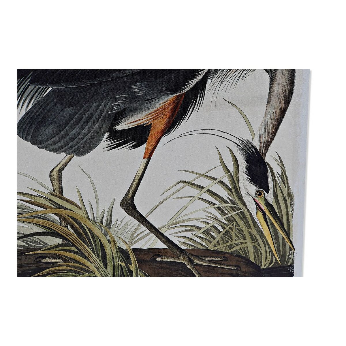 Kanvas DKD Home Decor Heron Furu Kanvas 50 x 1,8 x 70 cm - 3