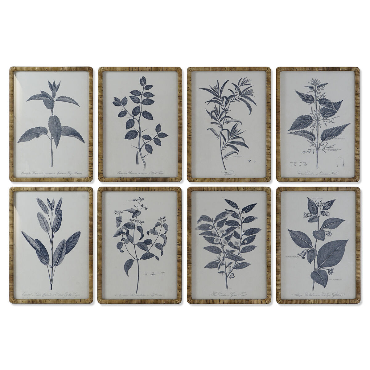Tavla DKD Home Decor Modern Botaniska växter 50 x 2,5 x 70 cm (8 antal)