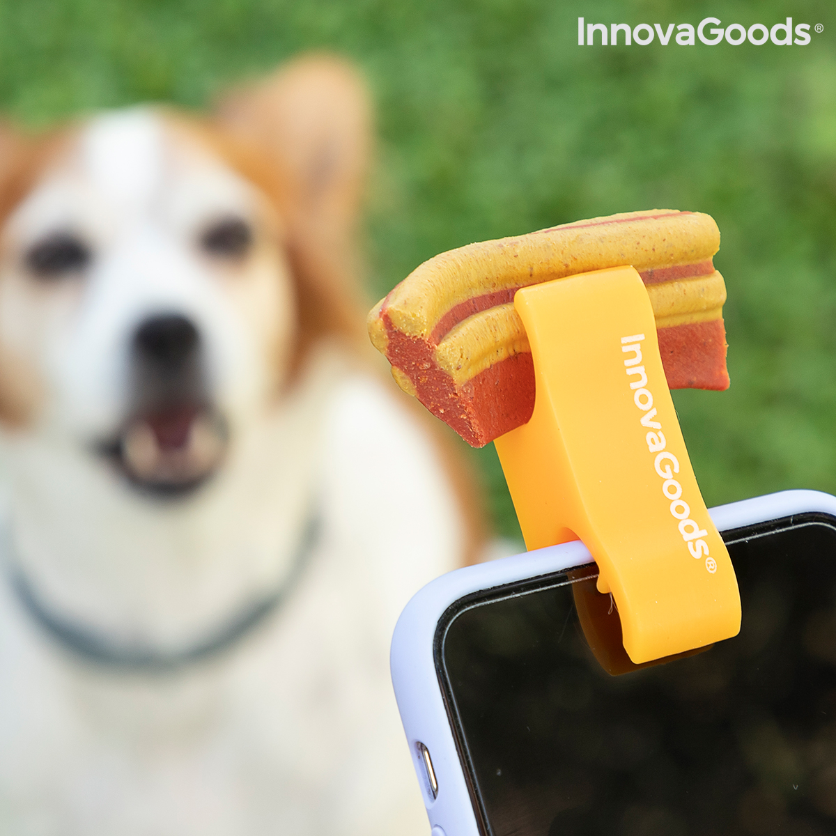 Selfieklämma för husdjur Pefie InnovaGoods - 8