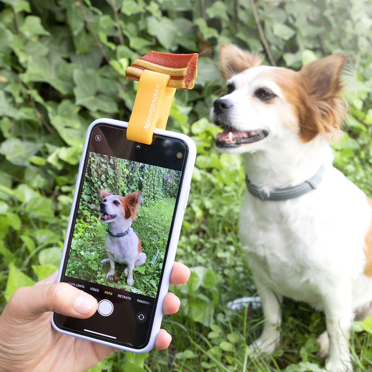 Selfieklämma för husdjur Pefie InnovaGoods - 21
