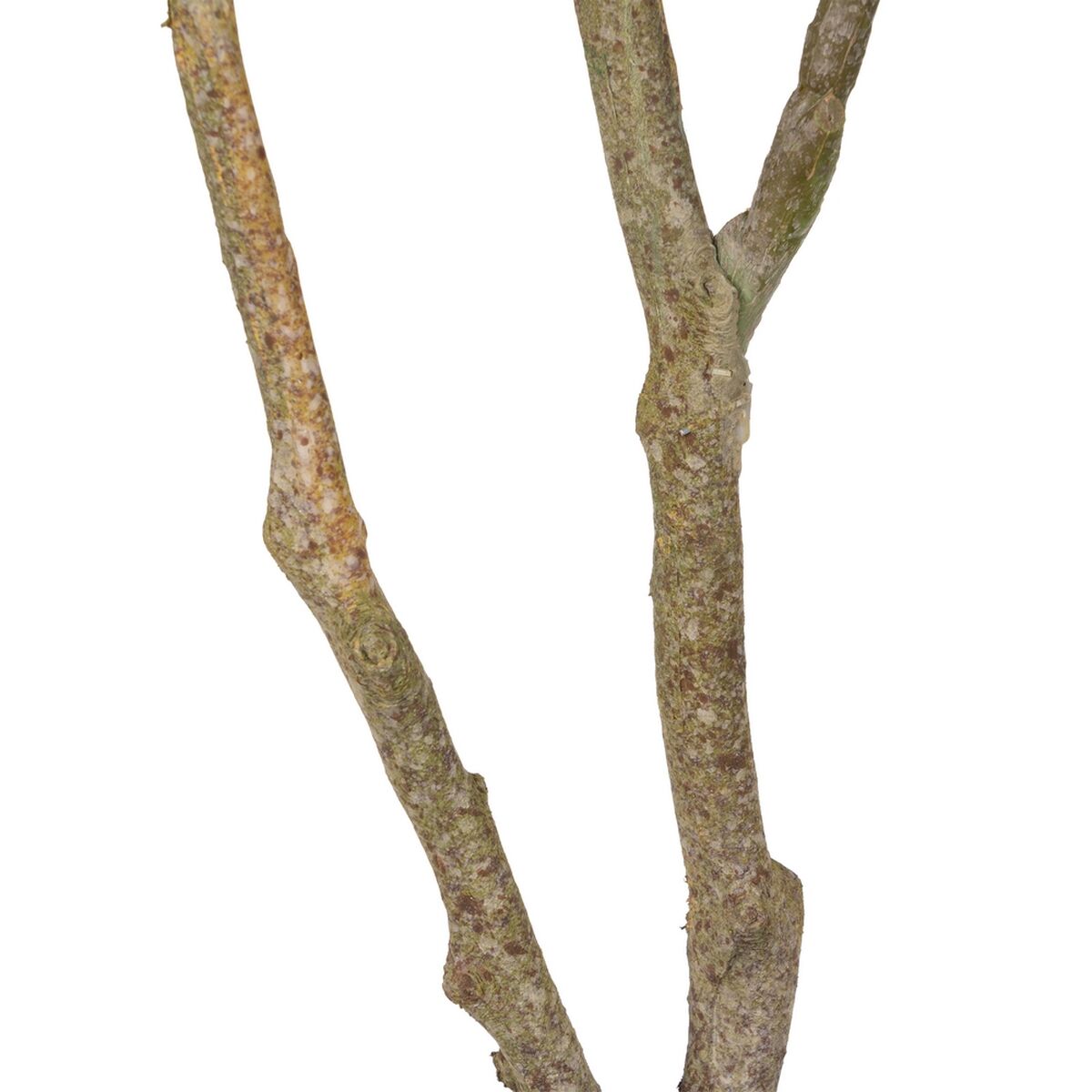 Dekorativ växt 116 cm Grön PVC Tölgy - 11