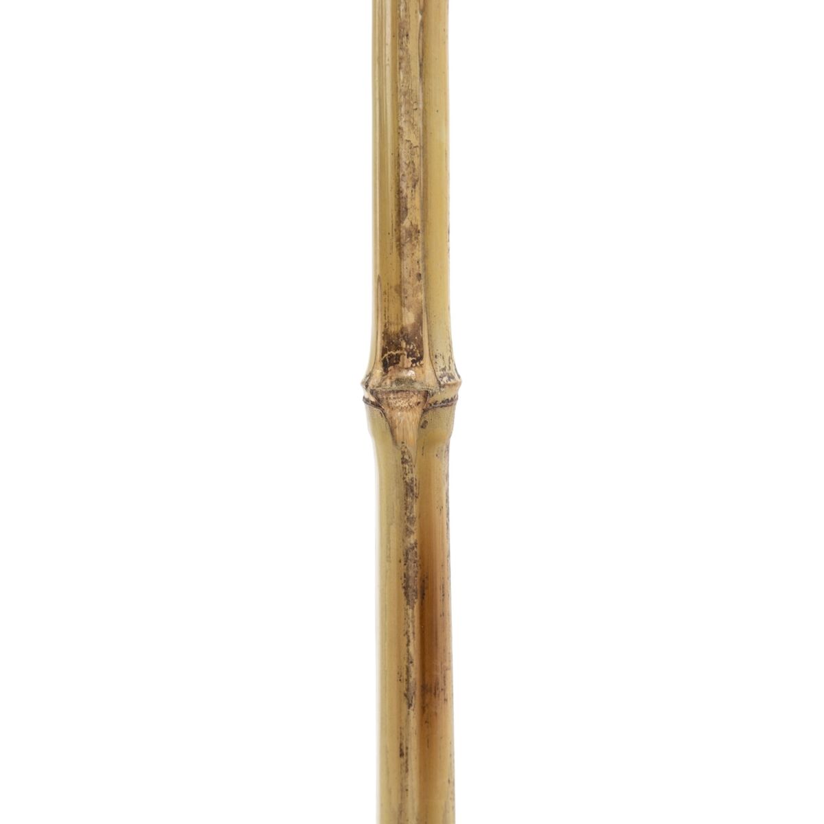 Gren Bambu Blad 43 x 1 x 200 cm - 7