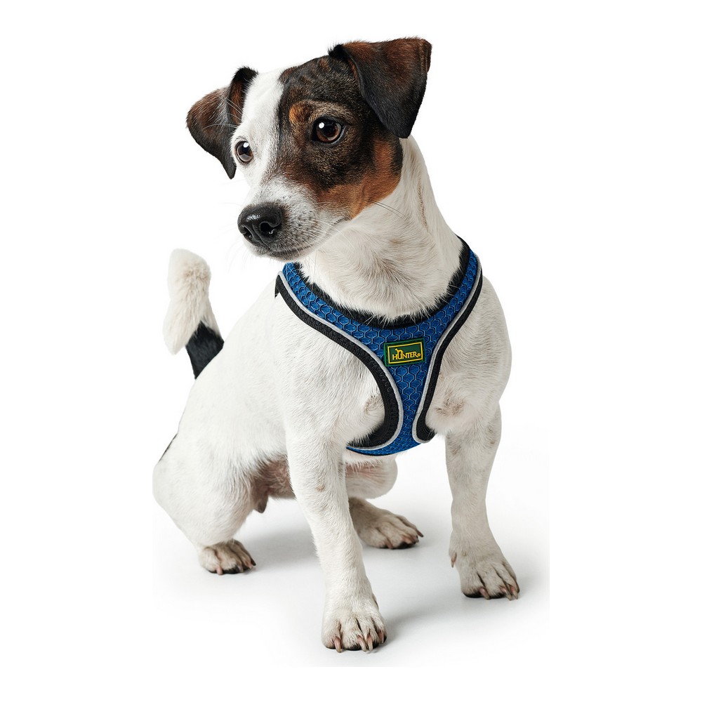 Hundsele Hunter 35-37 cm Blå XS - 2