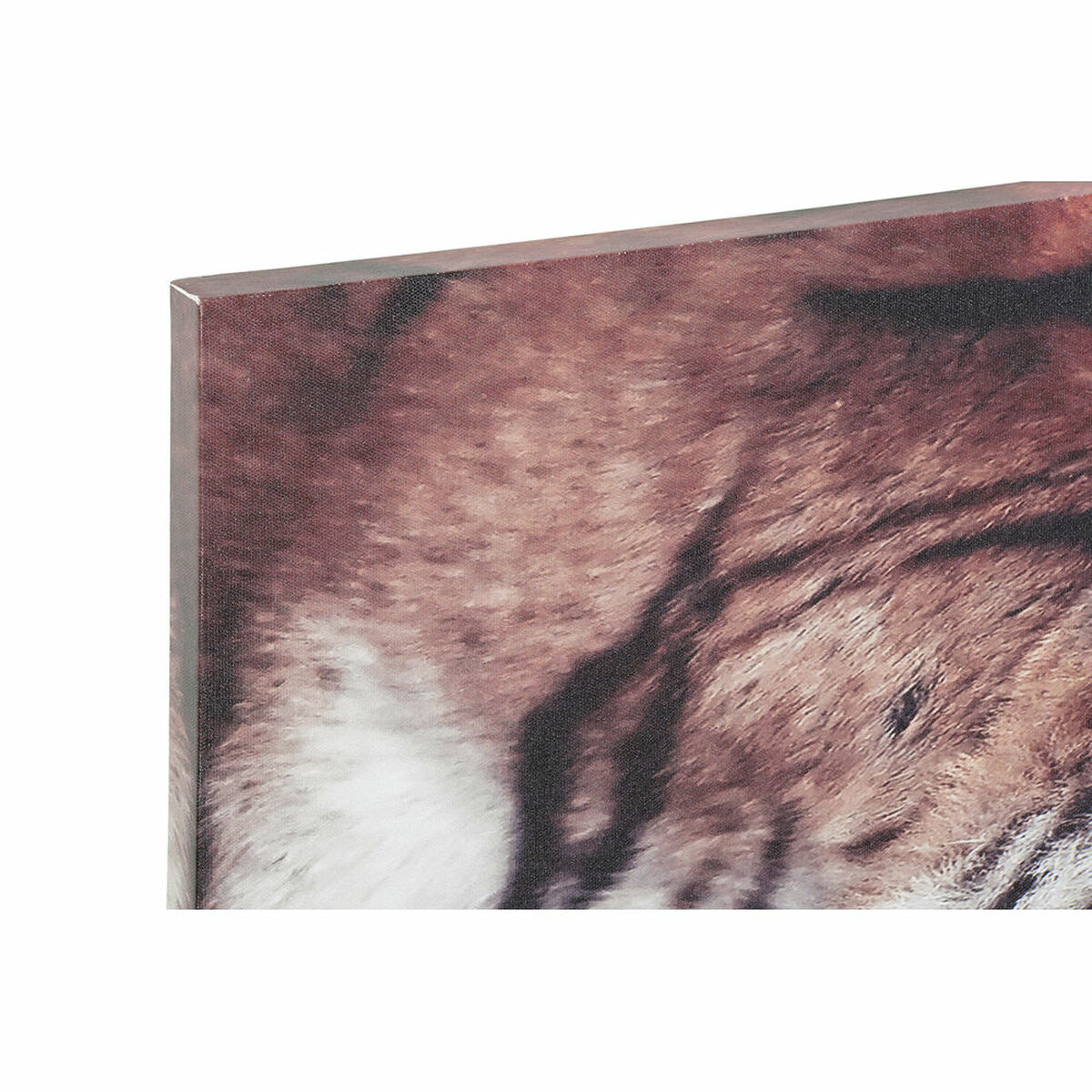 Kanvas DKD Home Decor Furu Kanvas 135 x 2,5 x 45 cm - 2