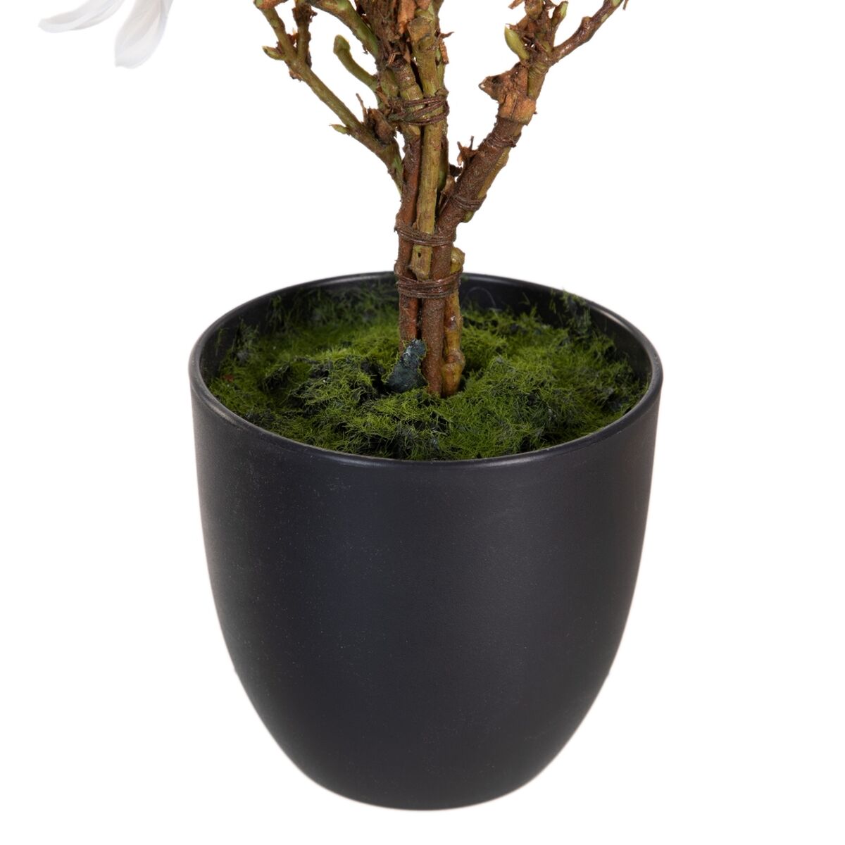 Dekorativ växt Polyester Polyetylen Järn 30 x 30 x 60 cm Magnolia - 3