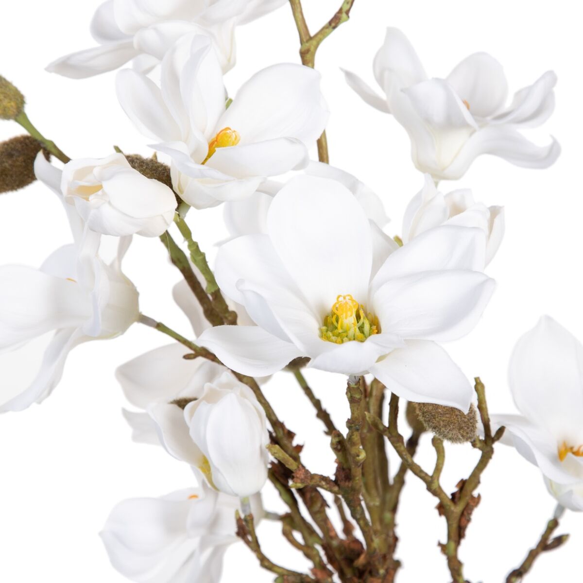 Dekorativ växt Polyester Polyetylen Järn 30 x 30 x 60 cm Magnolia - 2