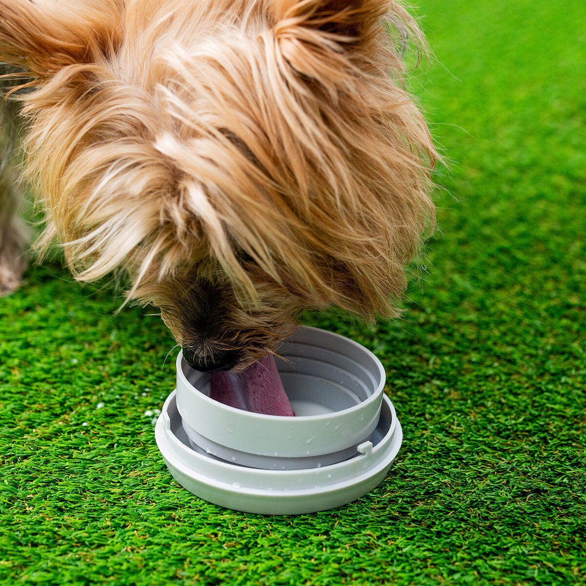 Utdragbart hundkoppel 6-i-1 Leashic InnovaGoods - 7