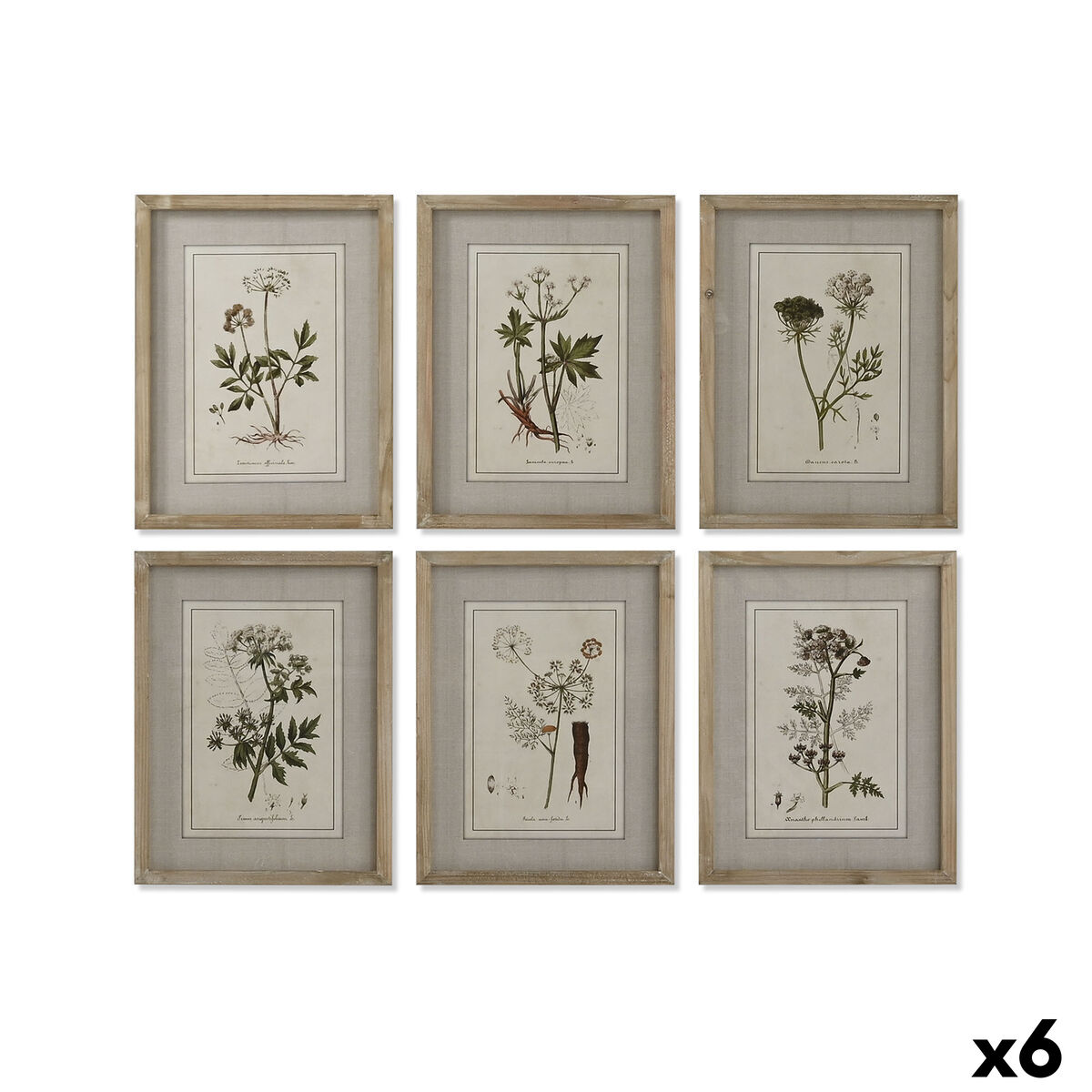 Tavla Home ESPRIT Glas Gran 30 x 2 x 40 cm (6 antal) - 5