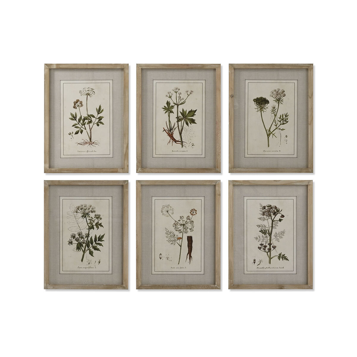 Tavla Home ESPRIT Glas Gran 30 x 2 x 40 cm (6 antal)