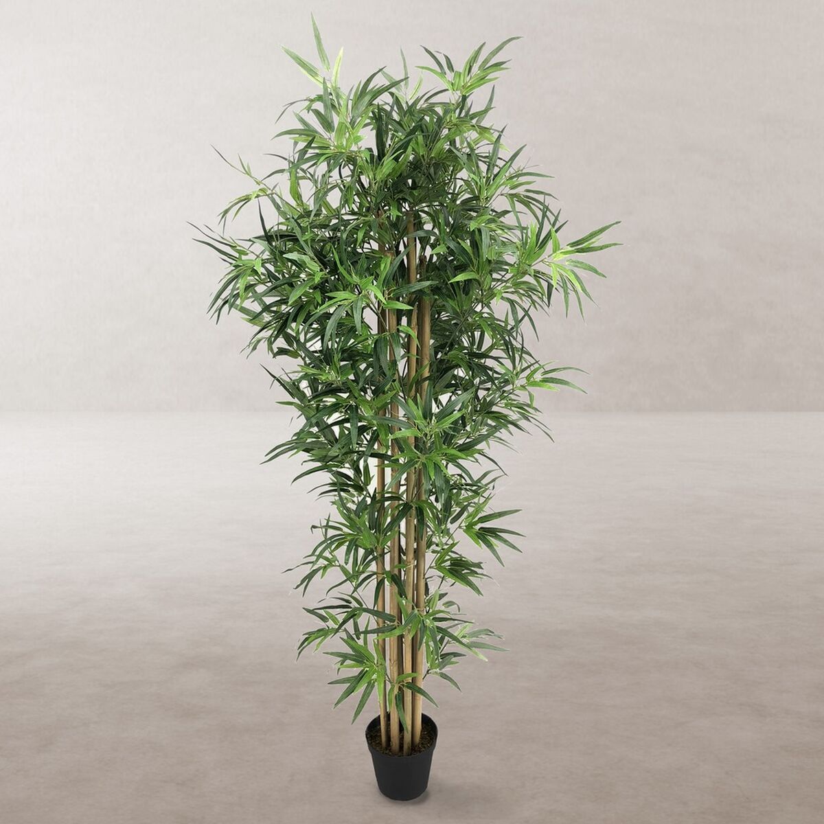 Dekorativ växt Cement Tyg Bambu 180 cm - 2