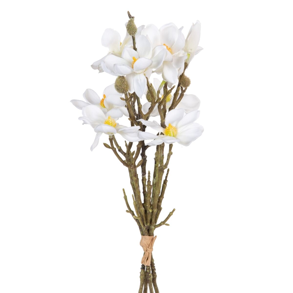 Dekorativa blommor Vit Grön 37 x 20 x 41 cm Magnolia
