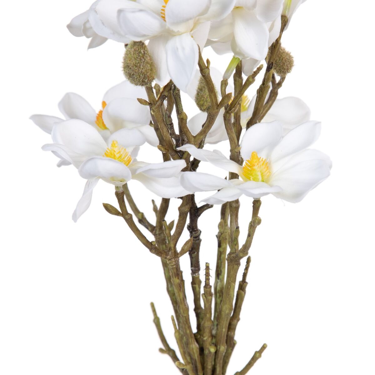 Dekorativa blommor Vit Grön 37 x 20 x 41 cm Magnolia - 2