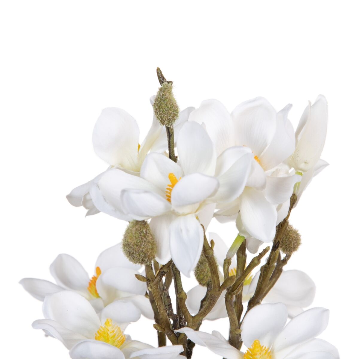 Dekorativa blommor Vit Grön 37 x 20 x 41 cm Magnolia - 3