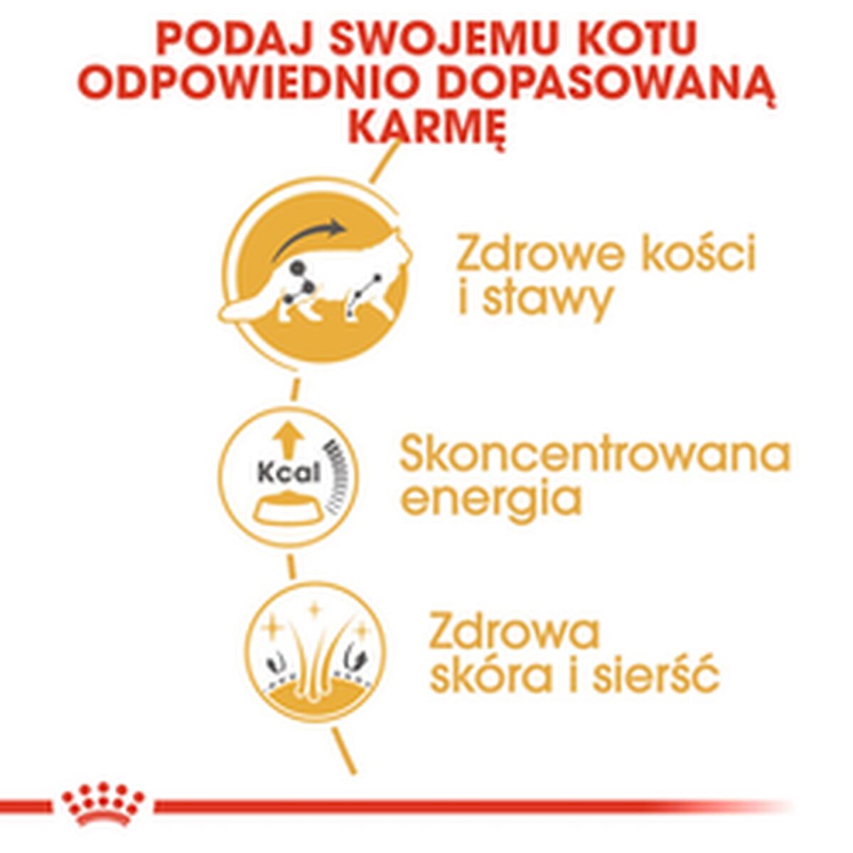 Kattmat Royal Canin RC POS musthave Kött 12 x 85 g - 2