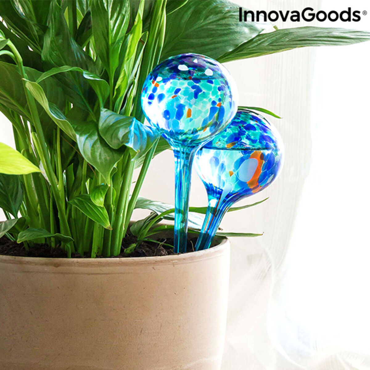 Automatiska bevattningsglober Aqua·Loon InnovaGoods Blå Glas (Renoverade A)