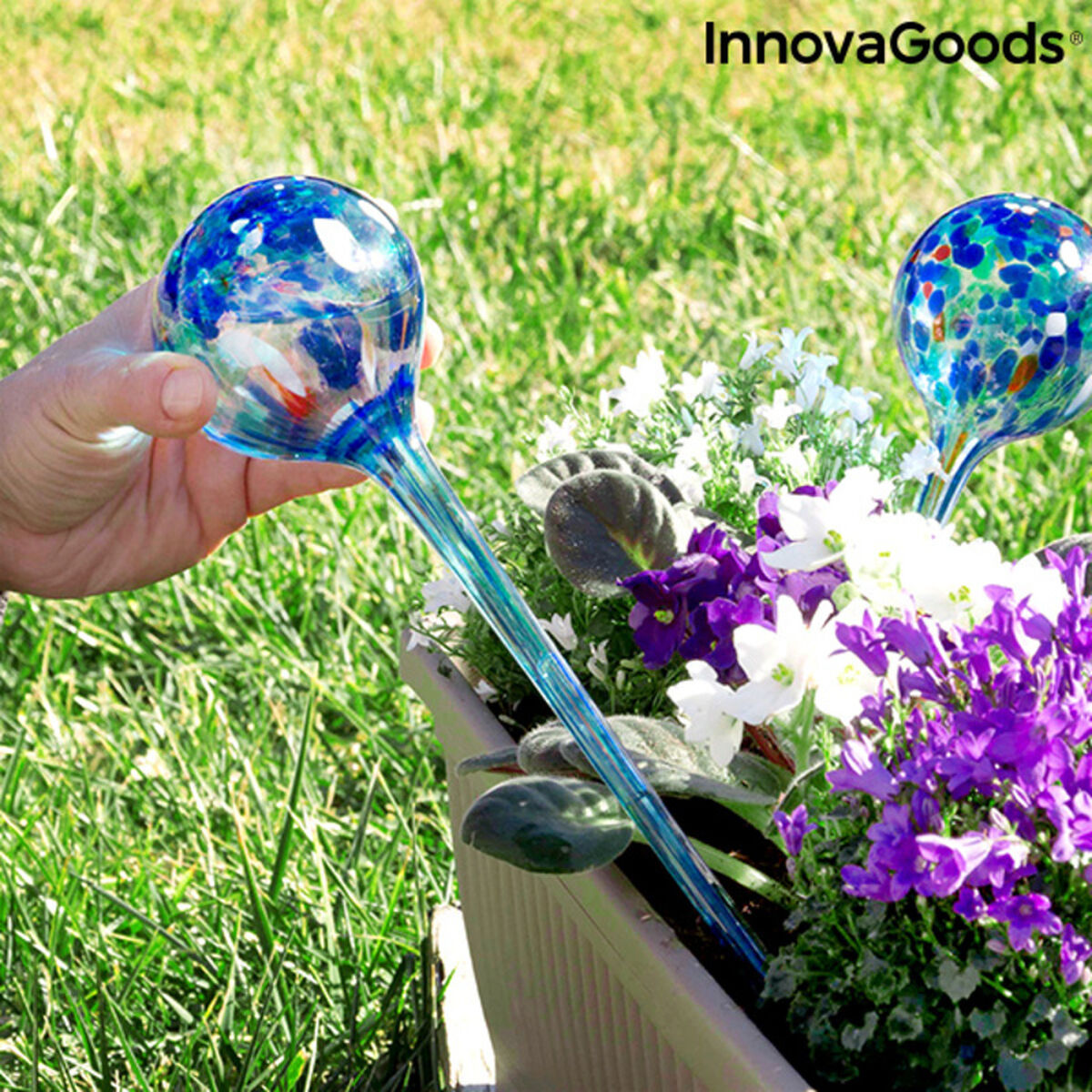 Automatiska bevattningsglober Aqua·Loon InnovaGoods Blå Glas (Renoverade A) - 3