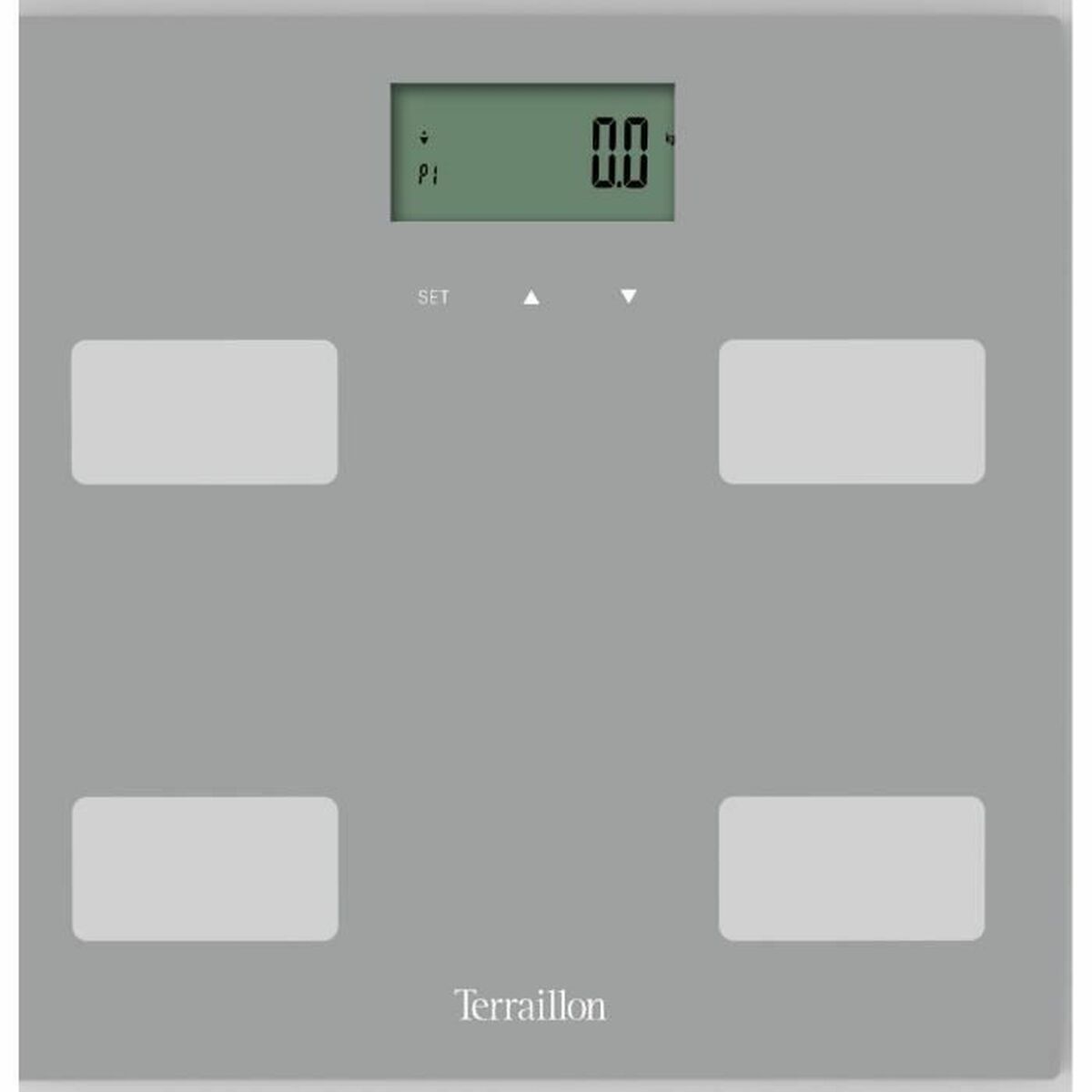 Digital Badrumsvåg Terraillon Regular Fit Grå 160 kg