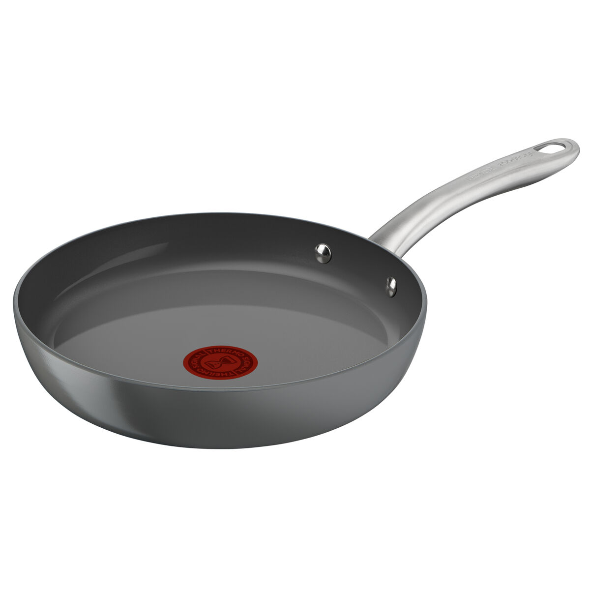 Stekpanna Tefal C4240453 Grå Aluminium Ø 24 cm