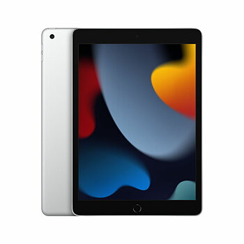 Läsplatta Apple MK2P3TY/A 4 GB RAM Silvrig Silver 256 GB