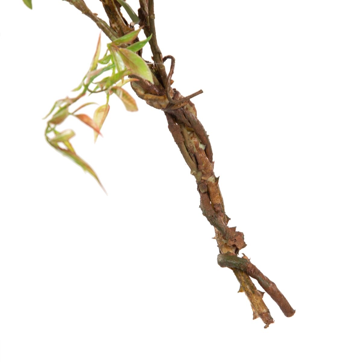 Dekorativa blommor 100 x 27 x 20 cm Vit Pion - 12