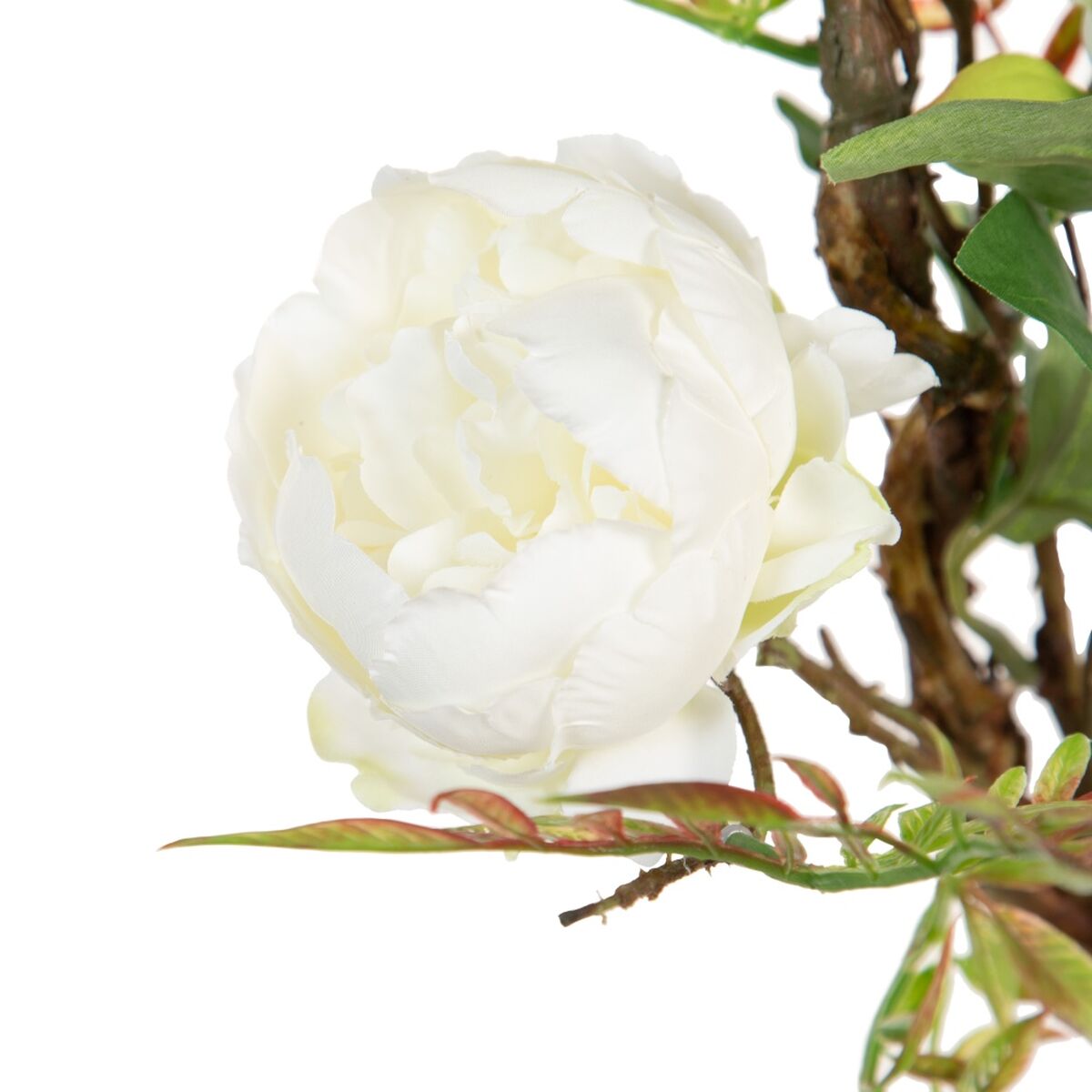 Dekorativa blommor 100 x 27 x 20 cm Vit Pion - 11