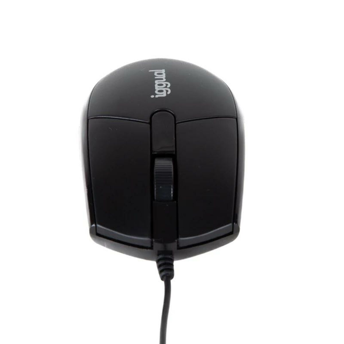 Mus iggual IGG318874 - 3