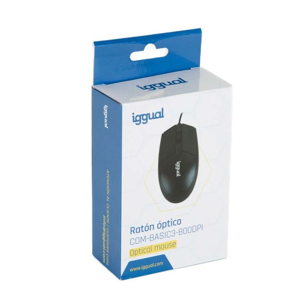 Mus iggual IGG318874 - 4