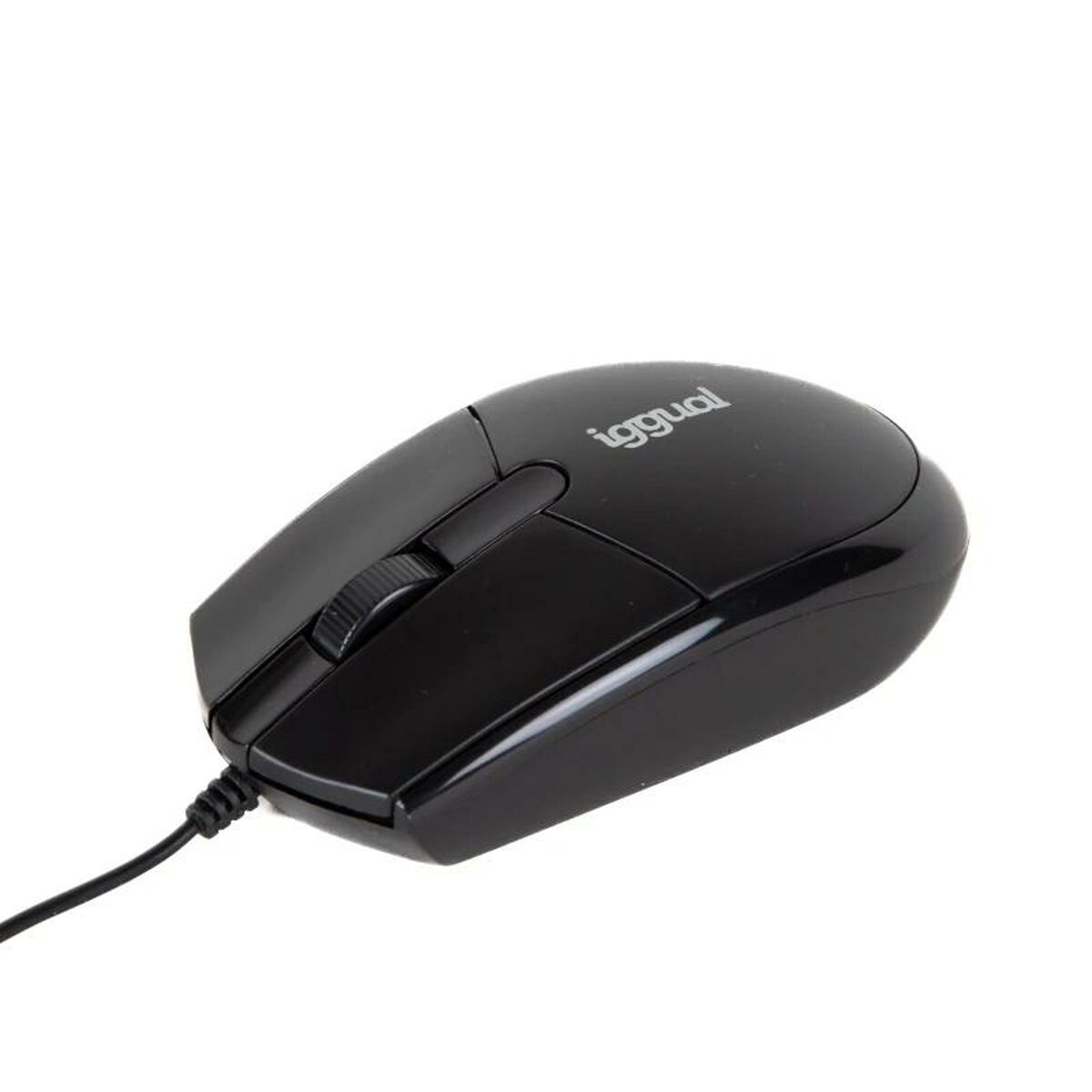 Mus iggual IGG318874 - 2
