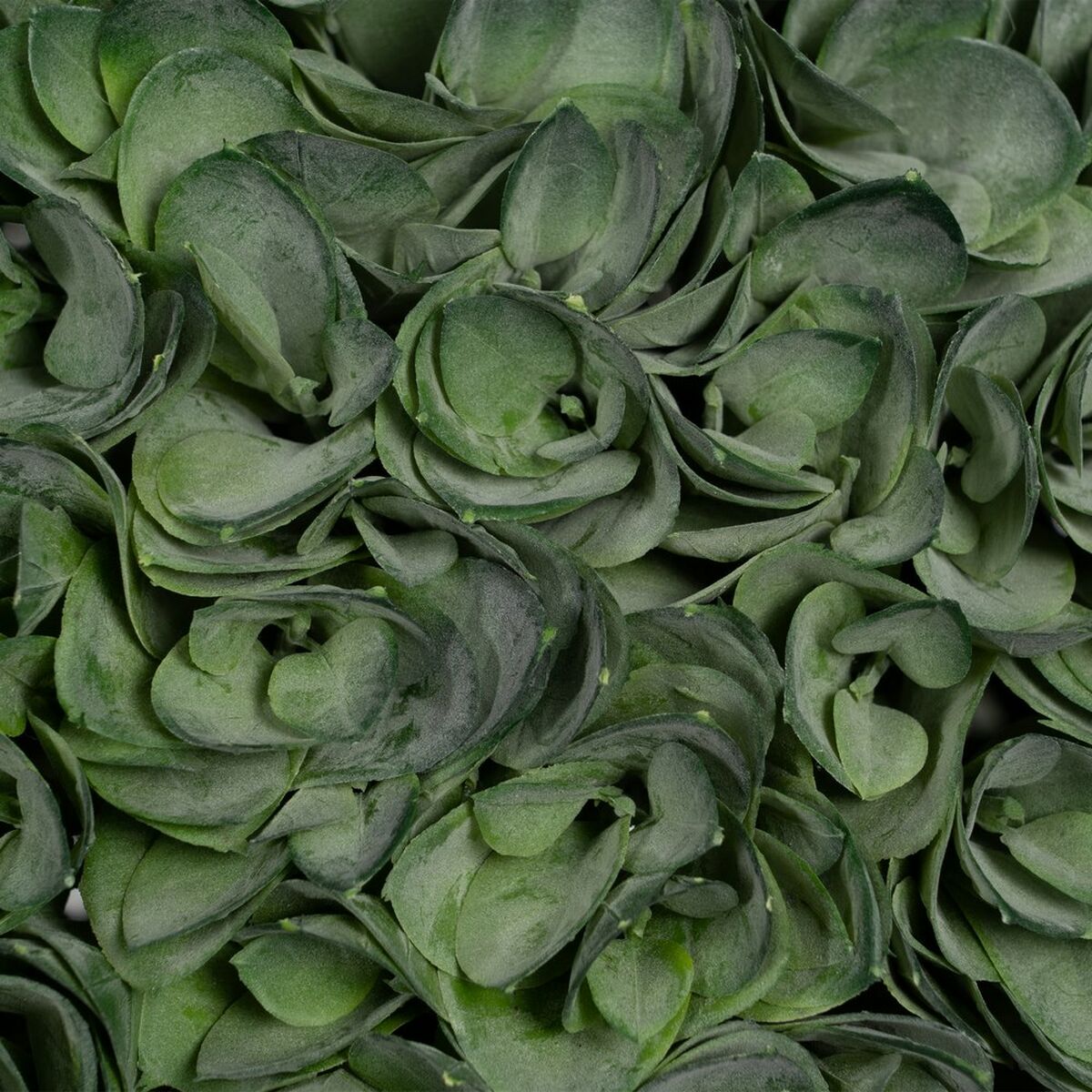 Dekorativ växt PVC 30 x 30 cm 30 x 30 x 30 cm - 3