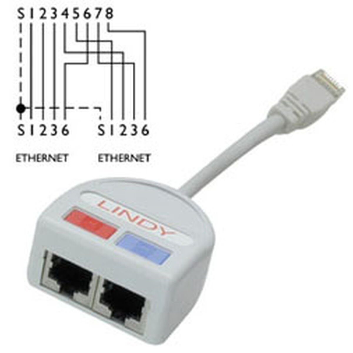 Adapter UTP LINDY 34002 Grå - 4