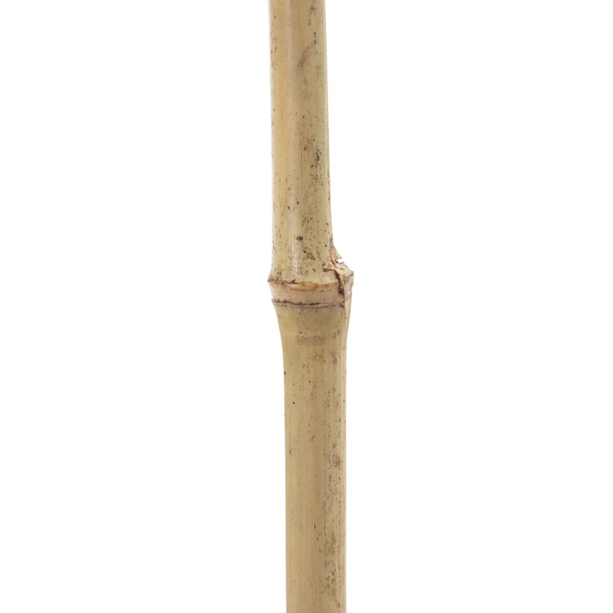 Gren Bambu Rattan Blad 43 x 2 x 200 cm - 8