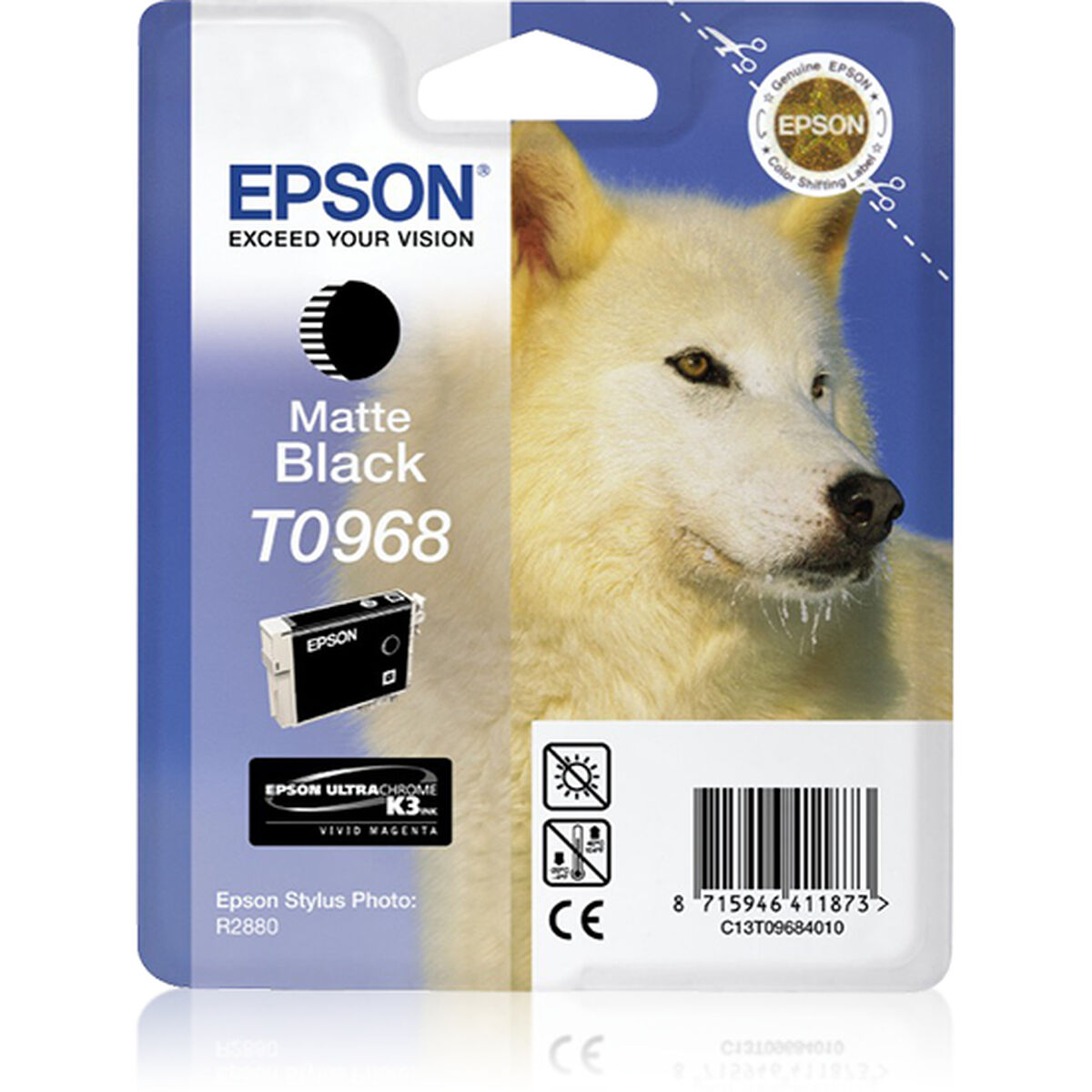 Original Bläckpatron Epson R2880 Svart