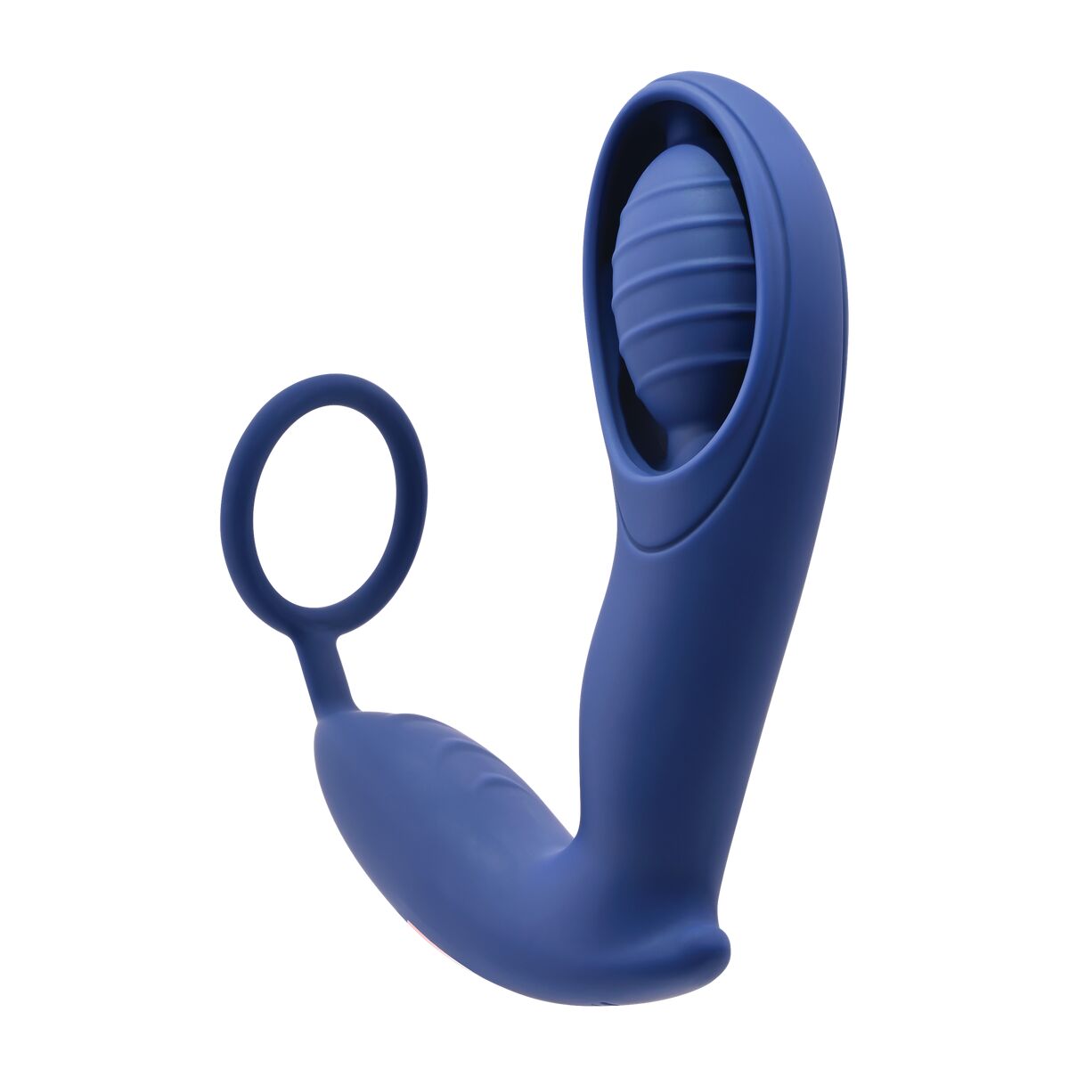 Analplugg Zero Tolerance Zero Tolerance Blå (12,9 cm) - 6