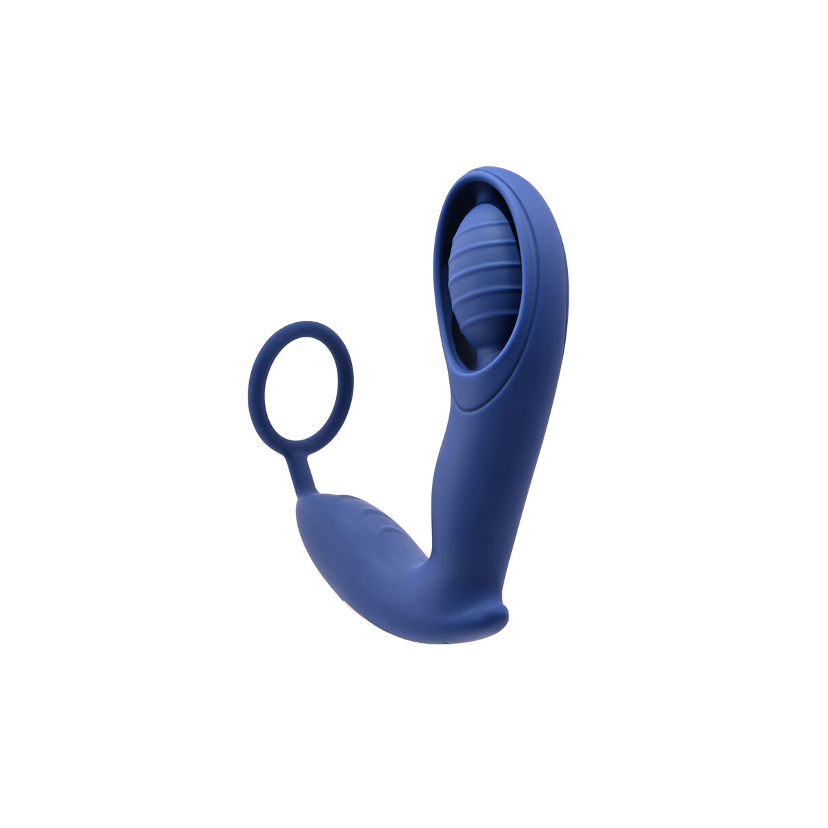 Analplugg Zero Tolerance Zero Tolerance Blå (12,9 cm) - 2
