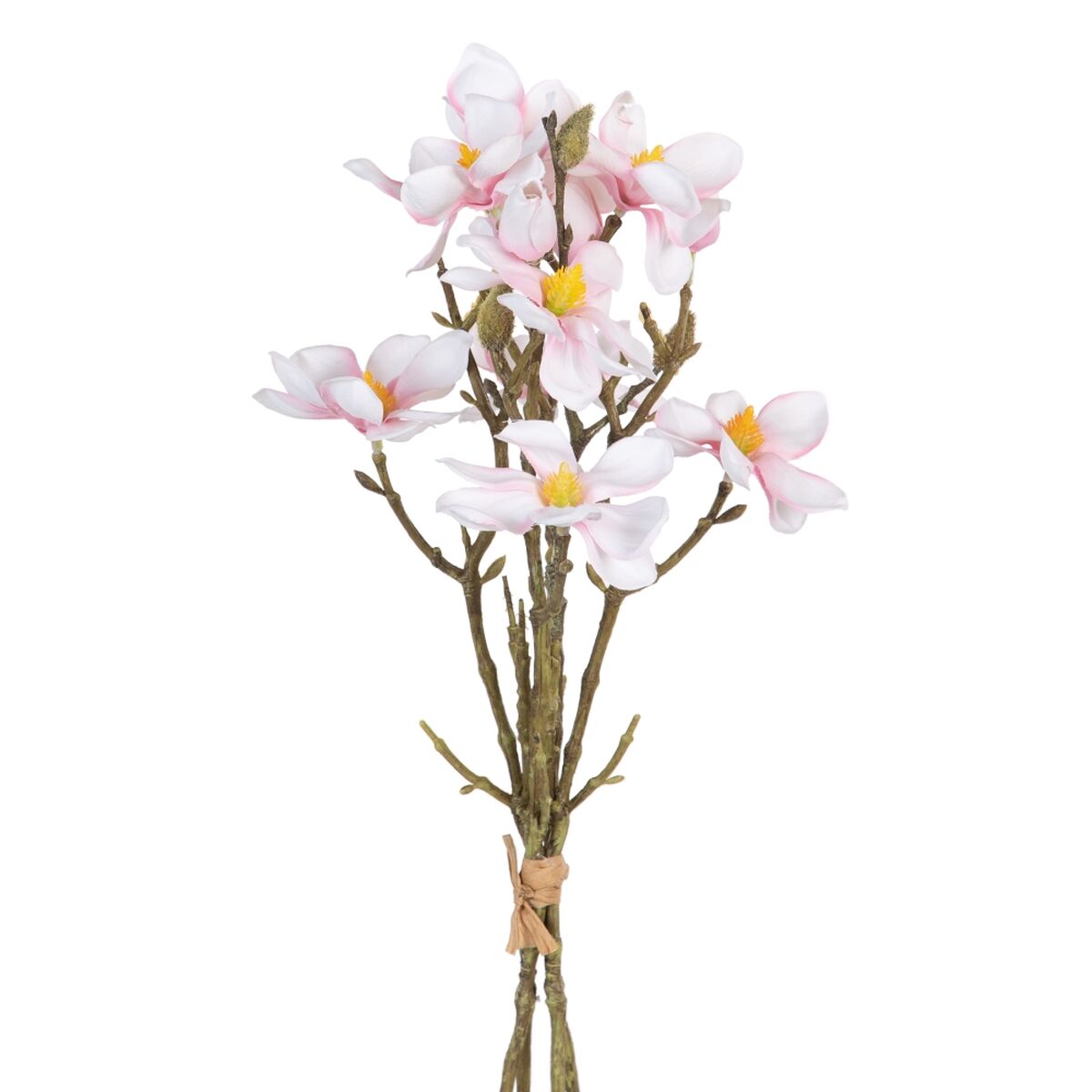 Dekorativa blommor Grön Rosa 37 x 20 x 41 cm Magnolia