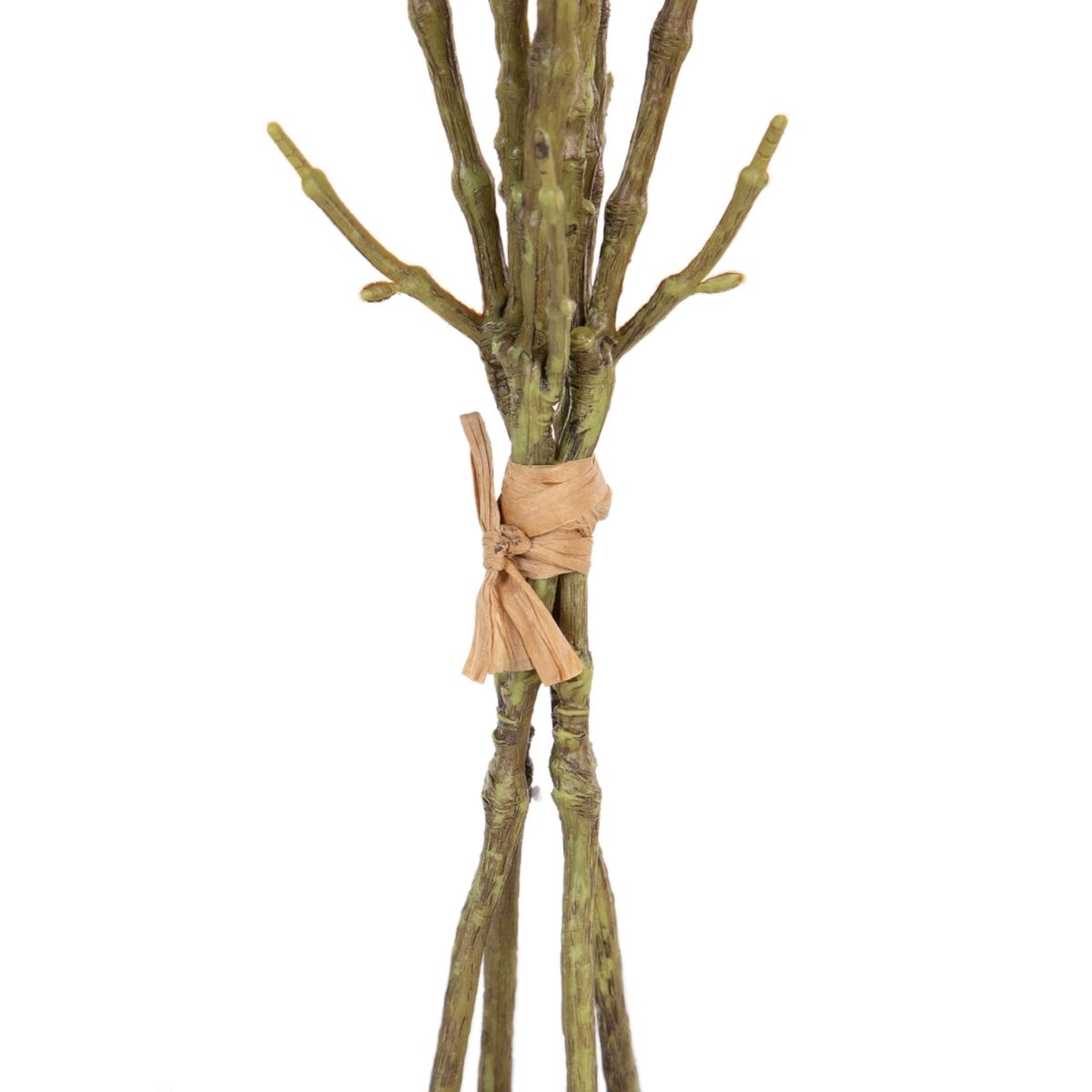 Dekorativa blommor Grön Rosa 37 x 20 x 41 cm Magnolia - 4