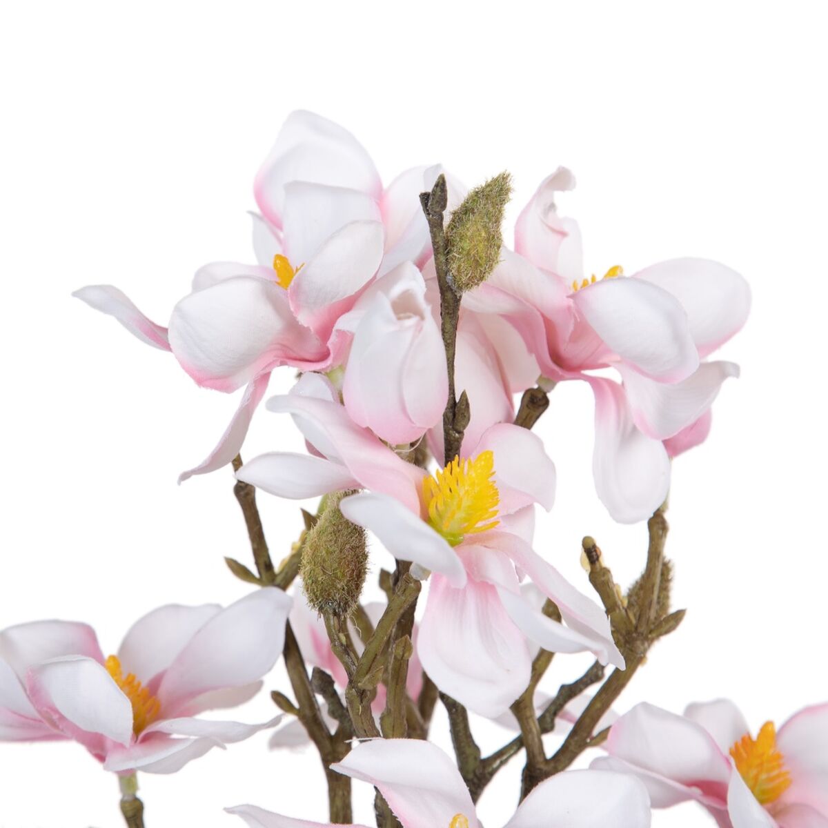 Dekorativa blommor Grön Rosa 37 x 20 x 41 cm Magnolia - 3